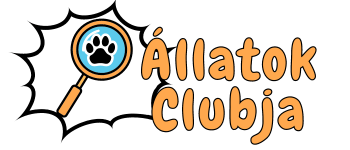 Állatok Clubja (2) (1)